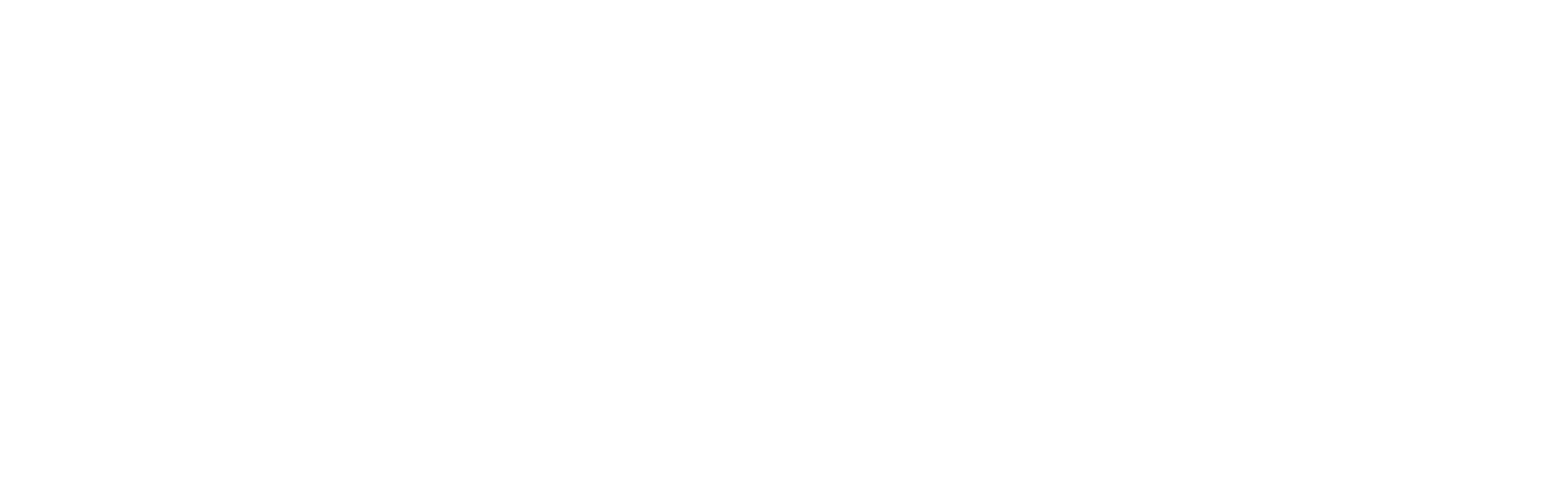 fonyx logo blanco